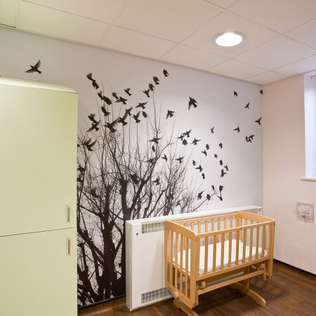 Birmingham Women’s Hospital - birds and trees graphics